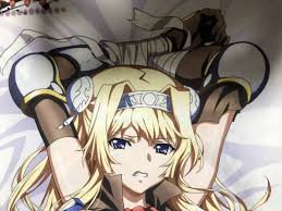 a1c 黒獣～気高き聖女は白濁に染まる～ アリシア抱き枕カバーセパレートカバー付き脱がせて!触って!!喘がせて!!!－Funbid香港本地日本代購網站