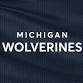 Minnesota Golden Gophers at Michigan Wolverines Womens Volleyball