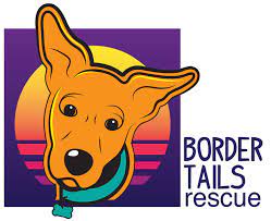 What does chicago pet rescue do for animals? Border Tails Rescue