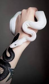 They can be adapted to fit any part of your body, from your chest to your. Remember Me