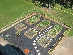 Which Direction To Face Garden Beds Vegetable Garden Planning Garden Layout Vegetable Garden Layout