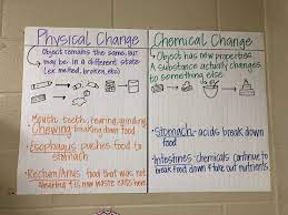 Physical V Chemical Change And Digestive System Physical Changes Experiments Chemical Changes Physical Vs Chemical Change