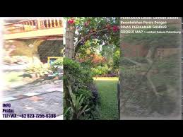 Японская актриса сакура мана (sakura mana). Lembah Sakura Palembang Youtube