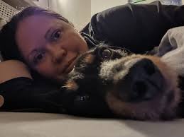 Introducing Lloyd, a 5-month-old black and tan blue tick mix puppy