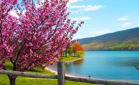 Seven points bait & grocery, hesston, pennsylvania. Seven Points Campground At Raystown Lake