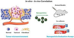 Isolation of animal material explants. The Cell Cultures Are Able To Mimic In Vivo Tissues Without The Ethical Download Scientific Diagram