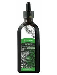 Image result for Cryptolepis