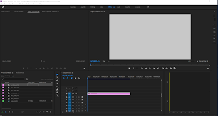 Final cut pro vs adobe premiere 2020: Solved Photos And Videos Not Showing In Source Or Preview Adobe Support Community 10197520