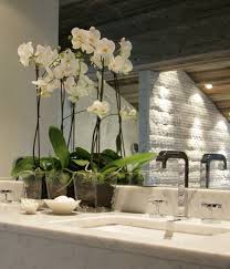 Home Fiona Barratt Interiors Bedroom Design Inspiration Glamorous Decor Orchids