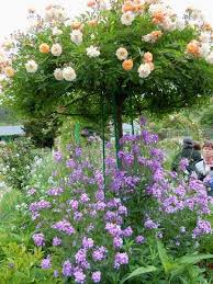 Pin On Monet