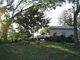 We did not find results for: Commercial Farm Land For Sale In Golden Spring Kingston St Andrew Jamaica Propertyadsja Com