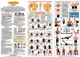 chart steel bow fitness fitness at home workouts