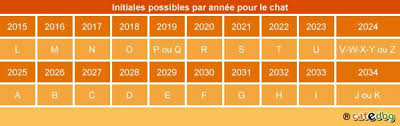 Toutes les lettres infos de 2009 à ce jour. Donner Un Nom A Mon Chat En 2021 Conseil Veto Illustre Catedog