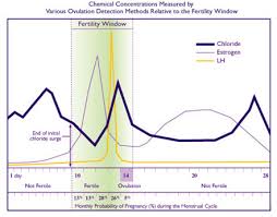 Hormone Levels During Pregnancy Chart Www