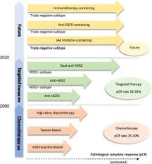 Any persistent breast changes should be. Update On Systemic Treatment For Newly Diagnosed Inflammatory Breast Cancer Sciencedirect
