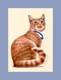 By kelly june 9, 2021, 8:32 am. How To Draw A Cat Sitting Facing Forward Novocom Top