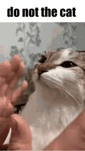 Nós regularmente adicionamos novas animações. Help Me Please Meme