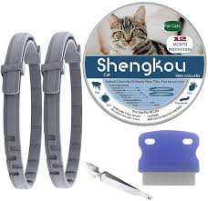 Welcome back to essential oil solutions with doterra, the podcast where you'll hear exciting, useful, and simple everyday uses for with cats, sometimes they don't really like their belly being rubbed, or even with dogs if they're having some stomach upset and they don't like their belly. Amazon Com Flea And Tick Collar For Cat Made With Natural Plant Based Essential Oil Safe And Effective Repels Fleas And Ticks Waterproof 12 Months Protection Fits Cat And Small Dog 2