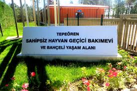 Tepeoren Sahipsiz Hayvan Gecici Bakimevi Ve Bahceli Yasam Alani Veteriner Hizmetleri Mudurlugu