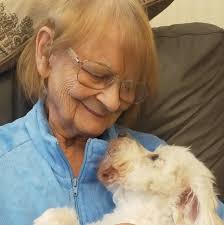 Just wondered how the drinks are obtained here. Other places soft drink  machines you help yourself from the machine but noticed here you can come  half board and self catering I think