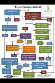 horse blanketing flow chart horses horse information