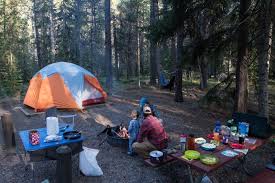 While visiting and camping at glacier nat'l park, we compiled some tips we wish we'd have known in advance. Apgar Campground Glacier National Park Montana Crown Of The Continent Geotourism
