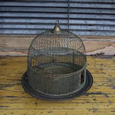We did not find results for: 1900s Victorian Antique Bird Cage Stand Display Vintage Prop Haberdashery Boutique Hanging Or Tabletop By Brainwashington From Brain Washington Of Silver Spring Md Attic