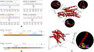 Planning early makes it easier for someone with younger onset dementia to manage their financial, legal and medical affairs now. Genetic Analyses Of Early Onset Alzheimer S Disease Using Next Generation Sequencing Scientific Reports