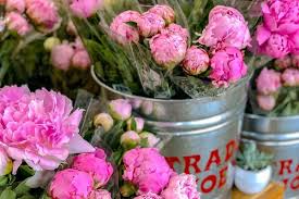 Here is the latest trader joe's price list. Trader Joe S Just Brought Back Their Famous Peonies Taste Of Home