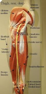 We did not find results for: Center Of Impact Registered Massage Therapy Posterior Thigh Muscles Facebook