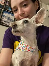 National Hug Your Hound Day and National Pet Memorial Day. So, two in one.  Molly and Maya both left us in 2022. They are in our embrace for a lifetime.