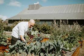 Pin Auf Club Magic Hour Tea