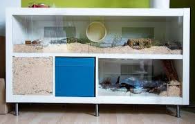 Naturnahe Hamstergehege 2x4 Ikea Expedit Als Roboheim Hamster Gehege Hamsterhaus Hamster