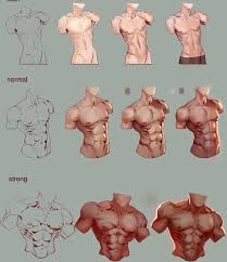 Four distinct pairs of abdominal muscles create the flat anterolateral abdominal wall. Male Abdominal Muscles Art Reference Poses Anatomy Reference Guy Drawing