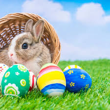 Image result for easter bunny