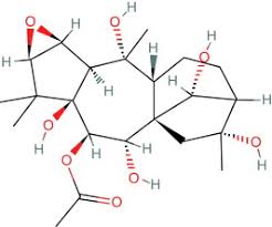 Image result for Ricin