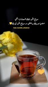 Konkurs Na Luchshuyu Fotku Morning Love Quotes Sweet Romantic Quotes Love Quotes Wallpaper