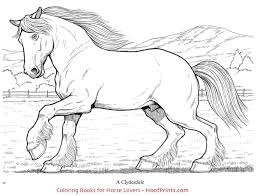 Download now (png format) my safe download promise. Wonderful World Of Horses Coloring Book Www Hoofprints Com Horse Coloring Books Horse Coloring Horse Coloring Pages