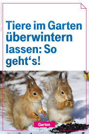 So Helfen Sie Tieren Im Garten Beim Uberwintern Garten Tiere Und Gluckliche Tiere