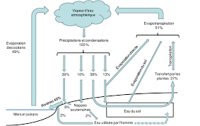 Le cycle de l'eau décrit le long voyage effectué par l'eau, lorsqu'elle circule de la surface de la terre vers le cycle de l'eau : Schema Global Du Cycle De L Eau En Milieu Tempere Oceanique D Apres Download Scientific Diagram