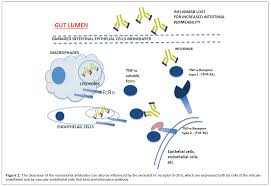 Image result for Infliximab