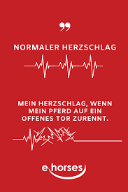 Pferdezitate Pferde Zitate Pferdespruche Reit Zitate