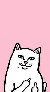 Phone Wallpapers Ripndip Wallpaper Pretty Wallpaper Iphone Cute Wallpapers