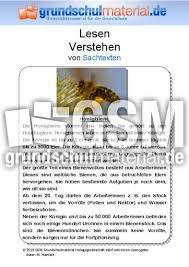 Sachtext tiere klasse 6 / sachtexte klassenarbeit die wikinger mit differenzierung und losungen unterrichtsmaterial im fach deutsch markiere die entsprechenden informationen im sachtext. Honigbiene Sachtext Sachtexte Tiere Sachtexte Lesen Deutsch Klasse 3 Grundschulmaterial De