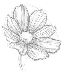 How To Draw Flowers I Already Know How To Stay A Flower But I Still Think It S Pretty Flower Sketches Drawings Flower Drawing Tutorials