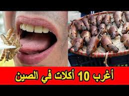 الصين في زمن جائحة كورونا. Ù„Ù† ØªØµØ¯Ù‚ Ù…Ø§Ø°Ø§ ÙŠØ£ÙƒÙ„Ù‡ Ø§Ù„ØµÙŠÙ†ÙŠÙˆÙ† Ø£ØºØ±Ø¨ 10 Ø£ÙƒÙ„Ø§Øª ÙÙŠ Ø§Ù„ØµÙŠÙ† Youtube