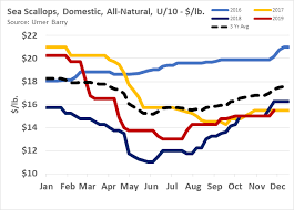 Analysis Scallop Prices At 2017 Levels