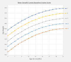 How To Calculate Target Slaughter Weights For Your Beef