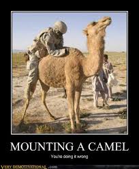 Imagine if every man could get their way with anything, do you think men in general would be acting the way they are today? Mounting A Camel Very Demotivational Demotivational Posters Very Demotivational Funny Pictures Funny Posters Funny Meme