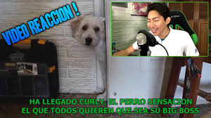 Entre y conozca nuestras increíbles ofertas y promociones. El Rap De Fernanfloo Youtubers Relacionados Youtube Search Noxinfluencer